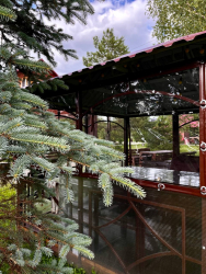 Барбекю зона — фото 7