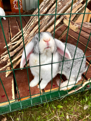 Ферма — фото 3