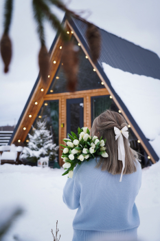 Дом (желтый) с панорамным видом на лес — фото 1