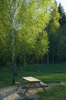 Дом (синий) с панорамным видом на лес — фото 12