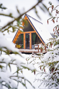 Дом (желтый) с панорамным видом на лес — фото 3