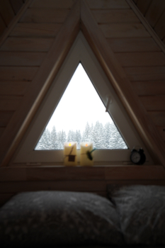 Дом (синий) с панорамным видом на лес — фото 17