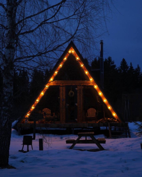 Дом (синий) с панорамным видом на лес — фото 2