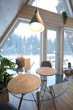 Дом (зелёный) с панорамным видом на лес — фото 22