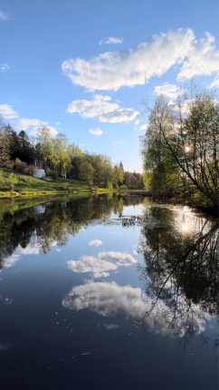 Indie House — фото