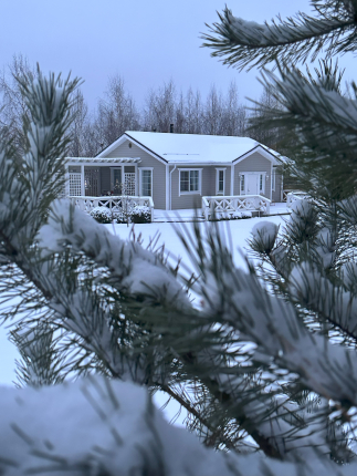 Финский домик на Луговой — фото