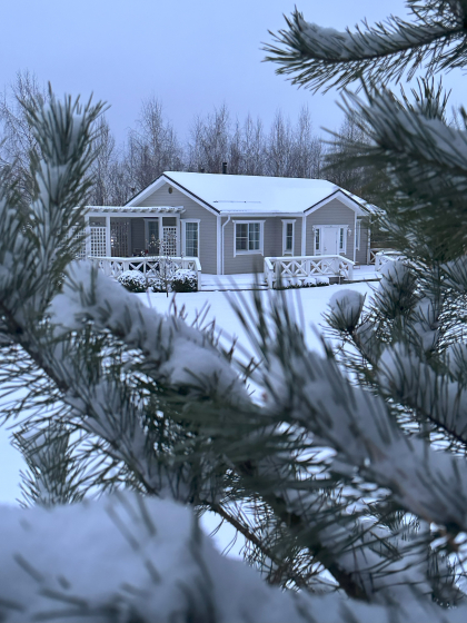 Финский домик на Луговой