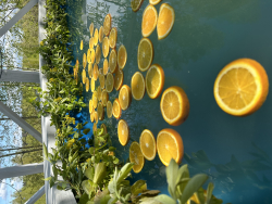 Горячий чан — фото 3