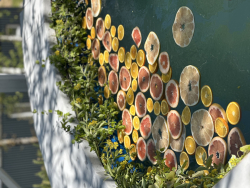 Горячий чан — фото 1