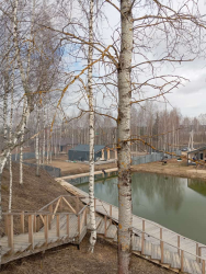 Водоем — фото 1