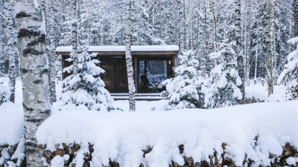 Forester Glamping — фото