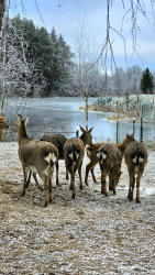 Водоем — фото 1