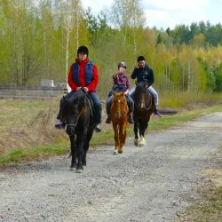 Конные прогулки — фото 1