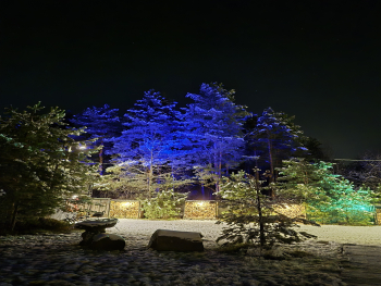A-frame Семейный + чан. Вид на лес. — фото 2