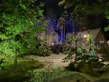 А в лесу — фото