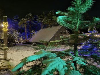 A-frame Семейный + чан. Вид на лес. — фото 3