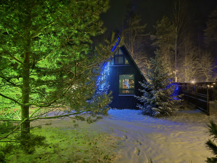 А в лесу — фото