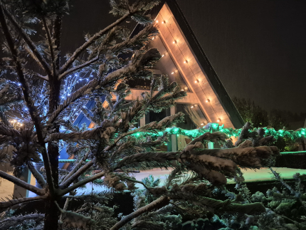 А в лесу — фото