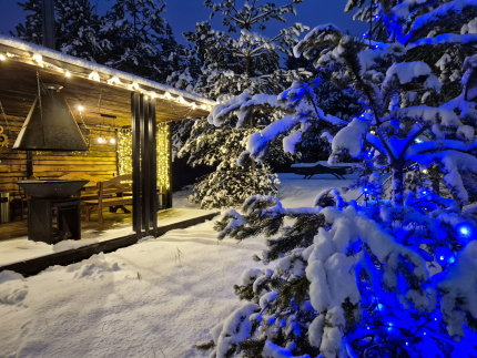 А в лесу — фото