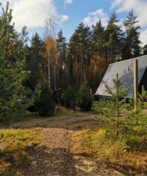 A-frame Семейный + чан. Вид на лес. — фото 4