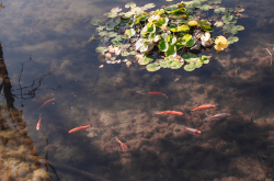 Горячий чан — фото 1