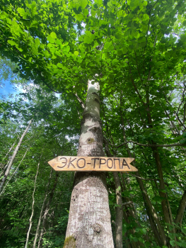 Вилла 2 — фото 19