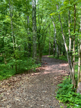 Вилла 2 — фото 20