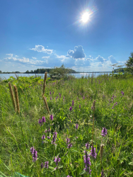 Водоем — фото 2