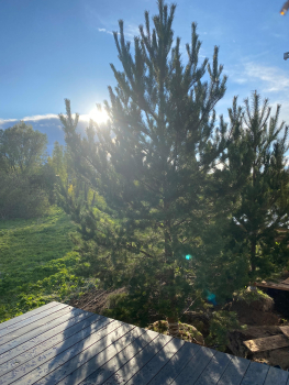 Вилла 1 — фото 11