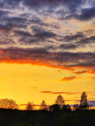 ZEFIRKA — фото