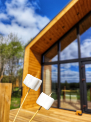 Костровая зона — фото 1