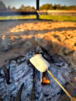 Pet Friendly House — фото 10