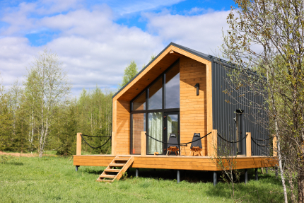 ZEFIRKA — фото