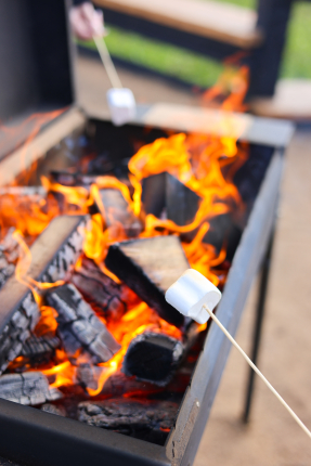 ZEFIRKA — фото