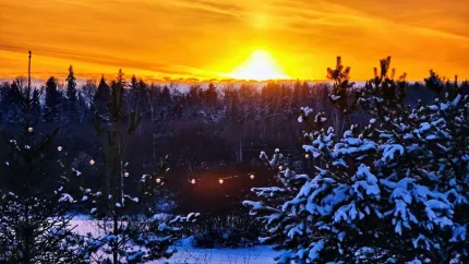 ZEFIRKA — фото