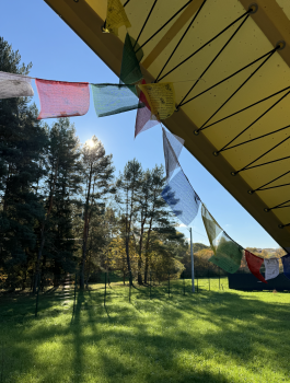 Сафари-тент — фото 6