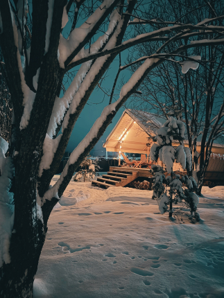 Домики и доски — фото