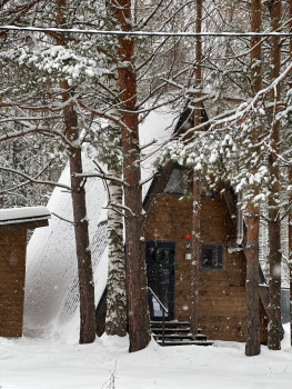 Дом A-Frame с сауной — фото 6