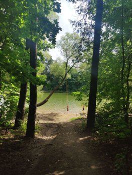 Дом у леса — фото 11