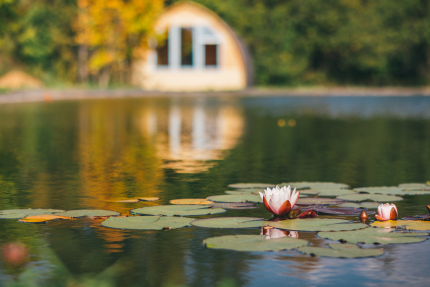 МАТЕРРА — фото