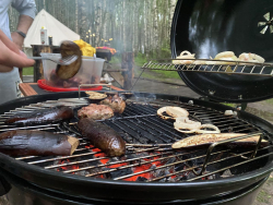 Мангальная зона — фото 1