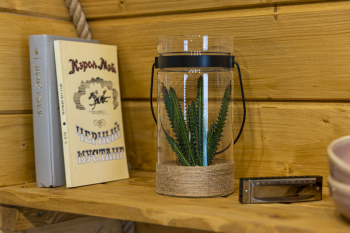 Дилижанс "Дикий Запад", 2х-местный жилой модуль — фото 6