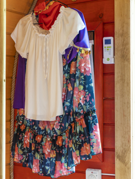 Дилижанс "Цыганский Барон" — фото 7