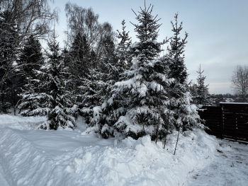 Коттедж Куско для 6 гостей — фото 14