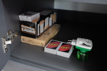 Семейный дом 2+2 с видом на реку с мансардным окном  — фото 10