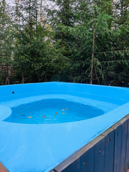 Мини-дом с сауной и джакузи (отдельная территория)  — фото 6