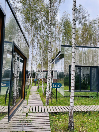 "МЫ Дома - в Зеркальном лесу" — фото