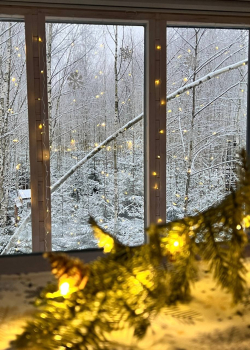 Дом на дереве для двоих с беседкой, мангалом, купелью, баней и ванной с панорамным видом — фото 2