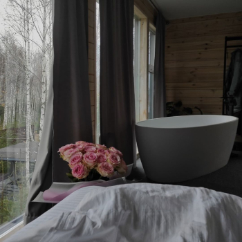 Дом на дереве для двоих с беседкой, мангалом, купелью, баней и ванной с панорамным видом — фото 10