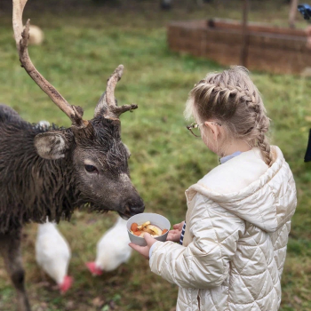 Дом с 1 спальней, беседкой, мангалом и купелью – до 4 человек — фото 8